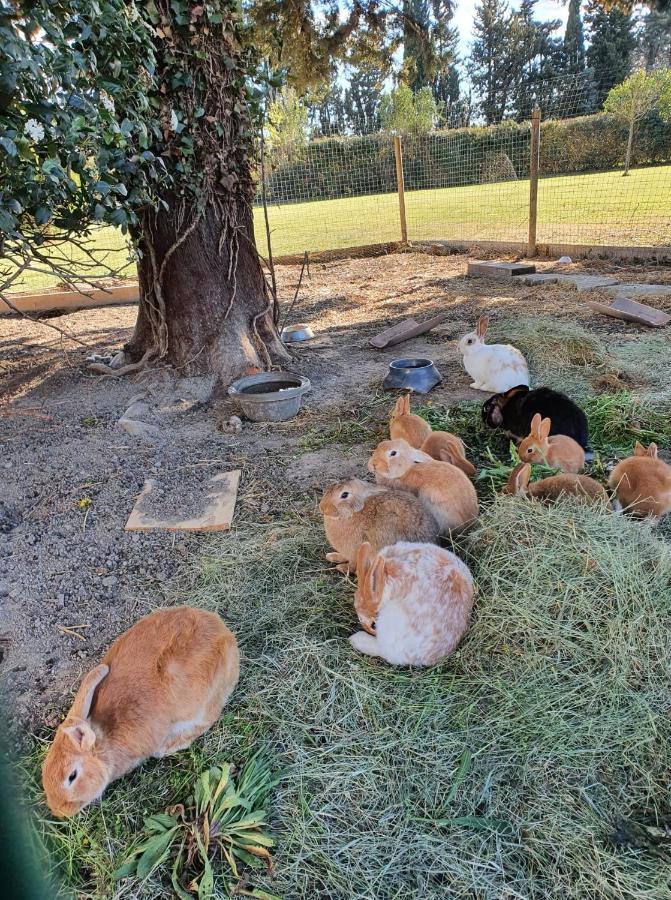 Сasa de vacaciones Cocon Familial à La Ferme