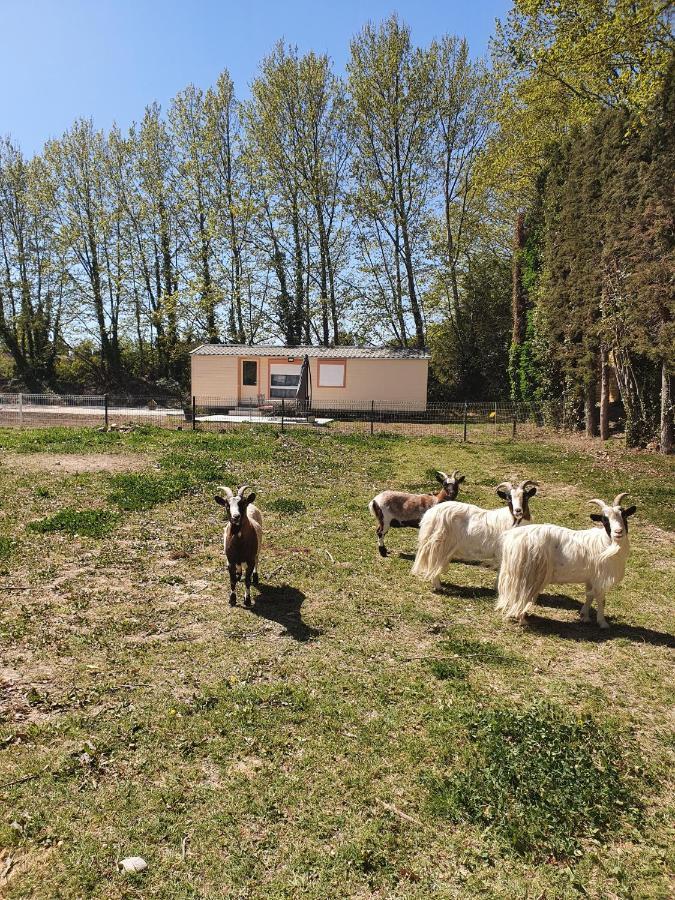 Cocon Familial A La Ferme