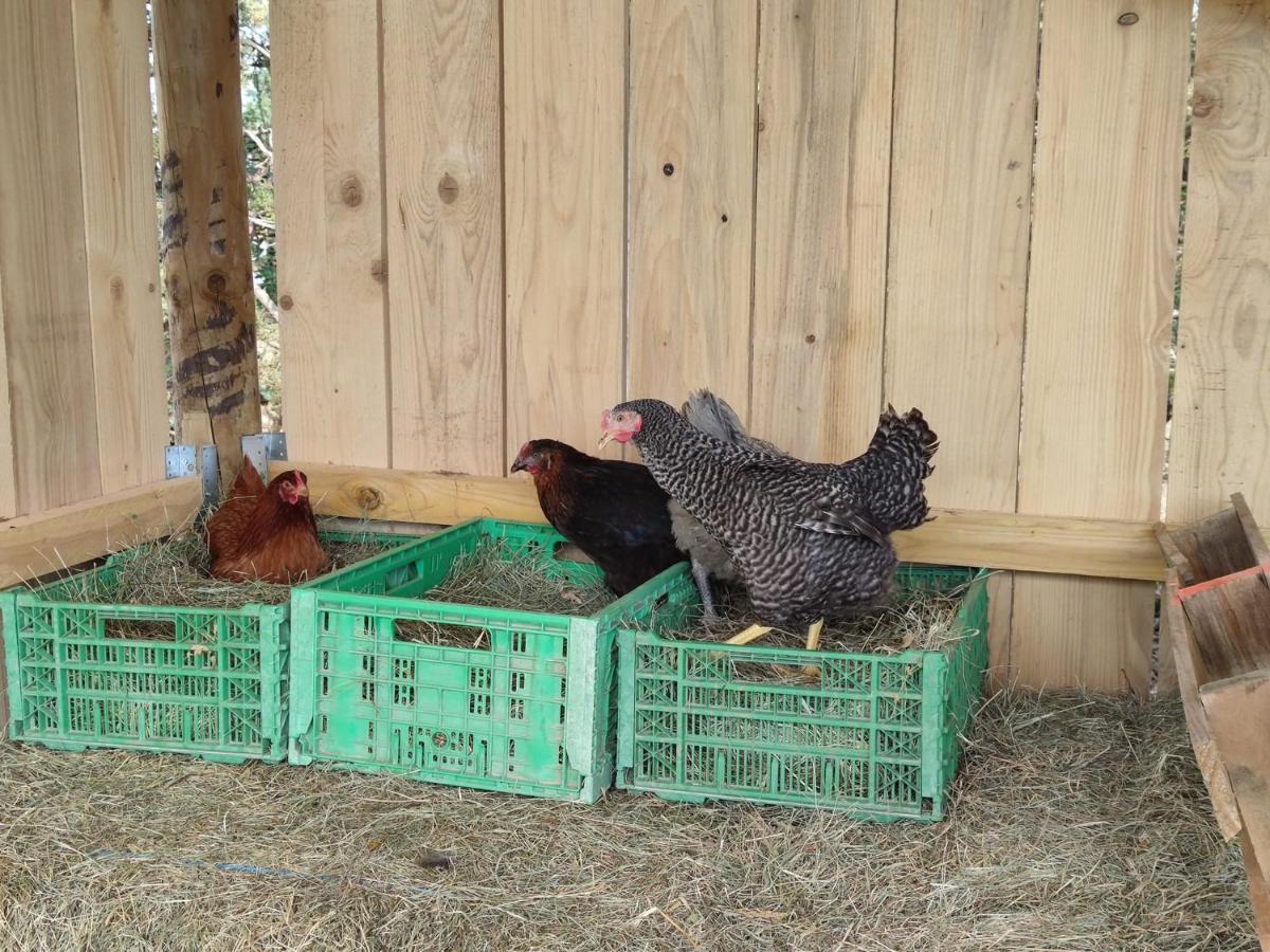 Holiday home Cocon Familial A La Ferme