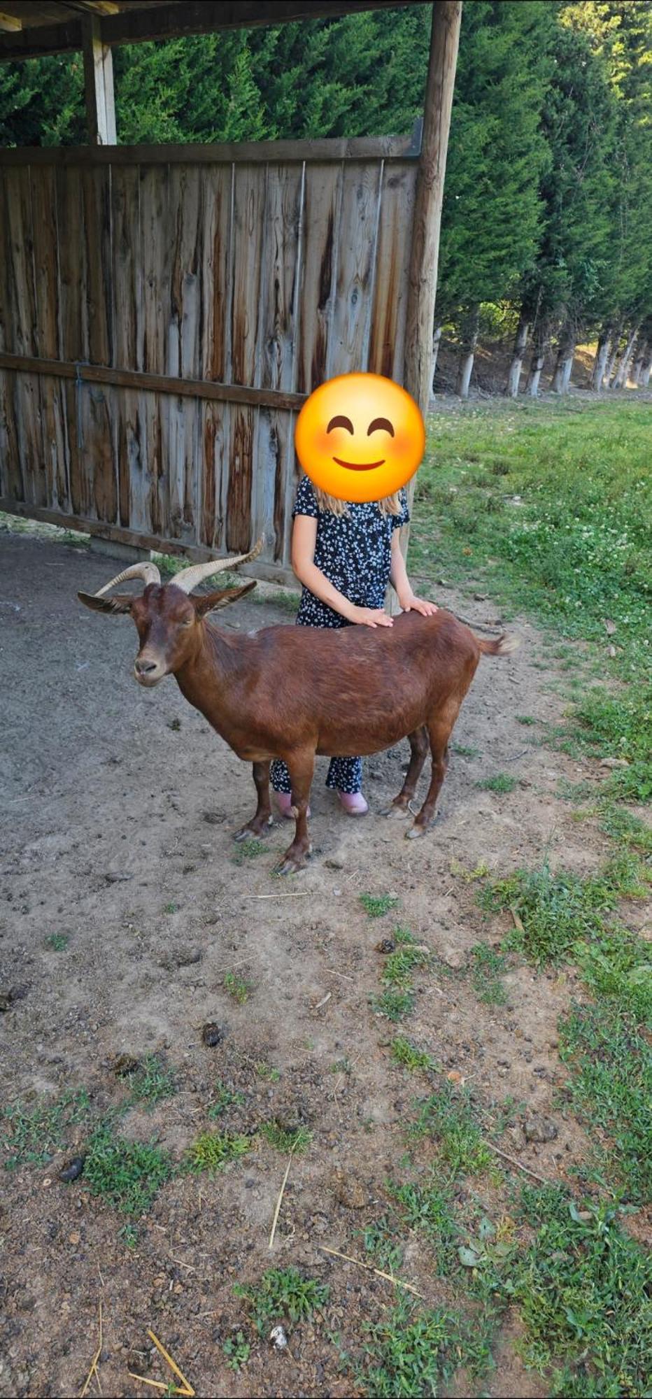 Cocon Familial A La Ferme Holiday home